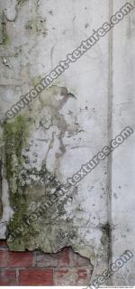 Walls Plaster 0058
